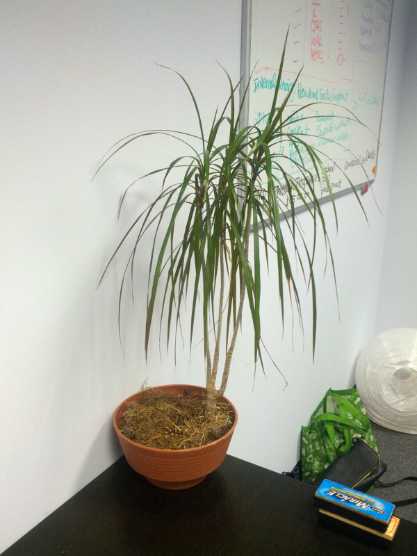 IMG 20131121 152250 resized 600