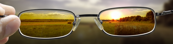 web design and development