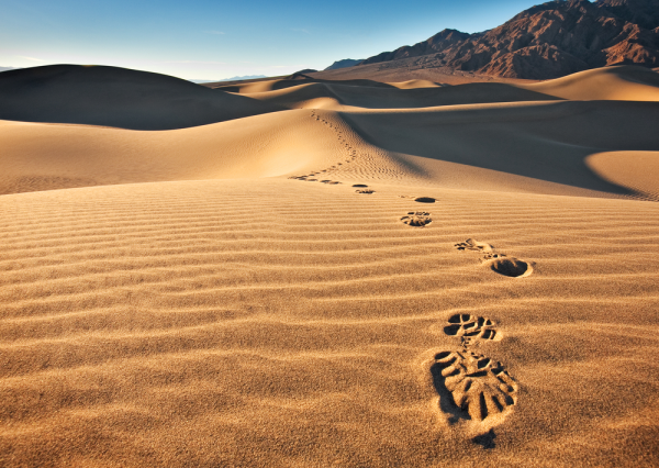 shutterstock 95490322 resized 600