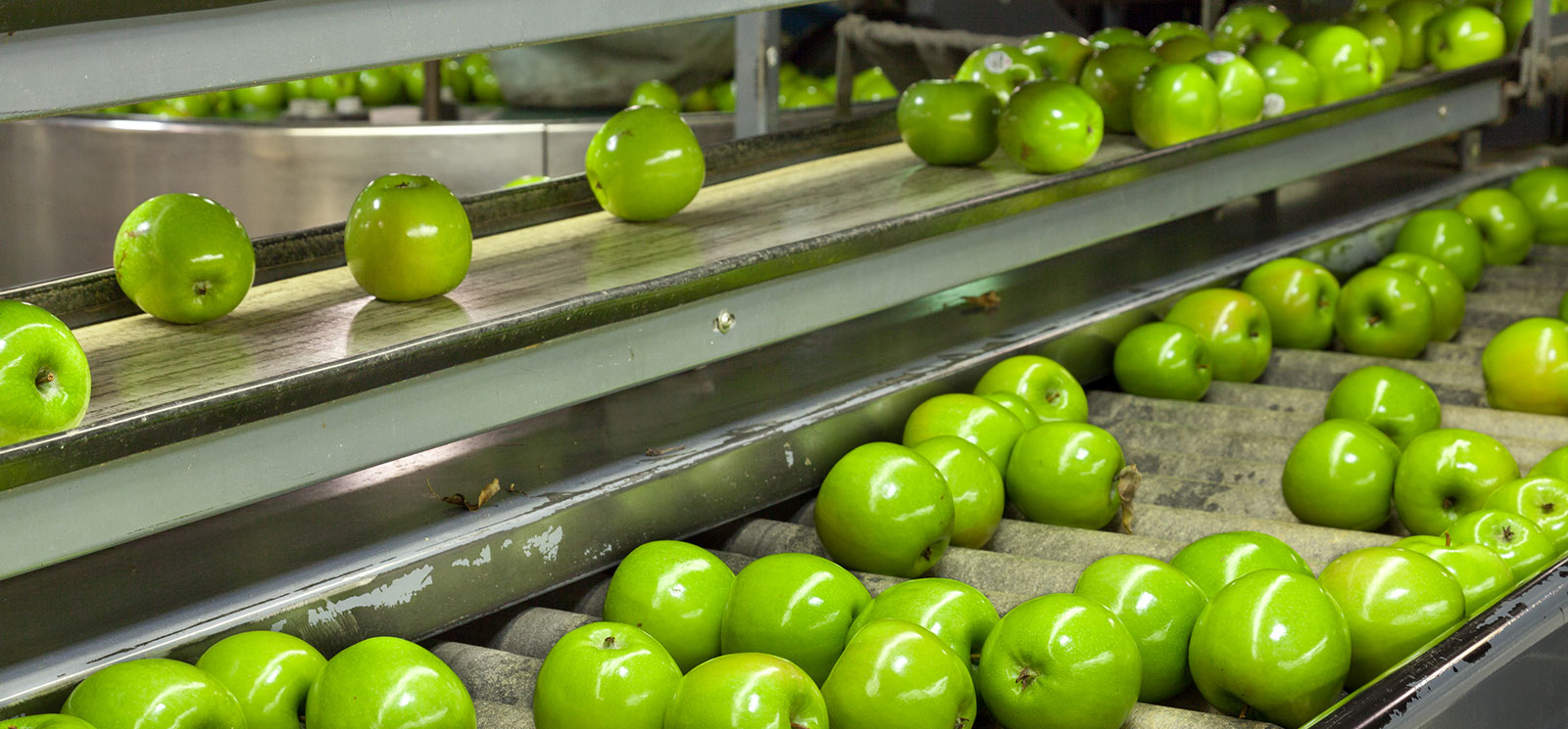 inbound-marketing-process