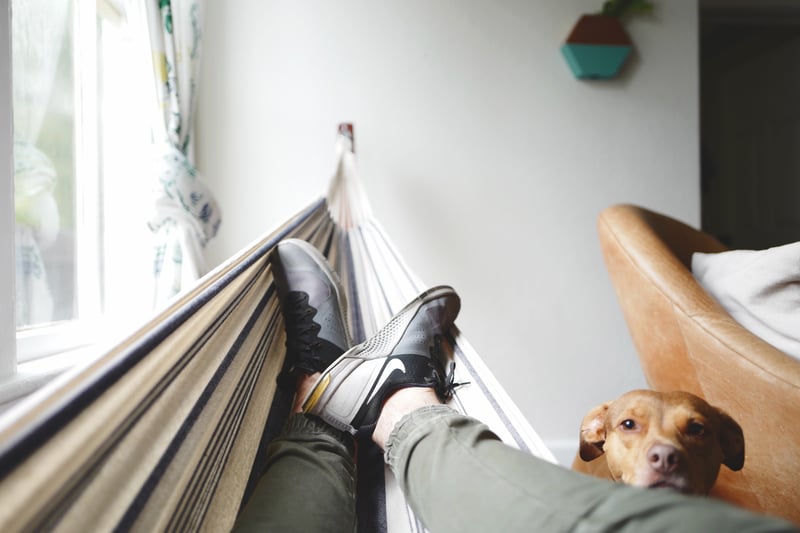 man in hammock with dog