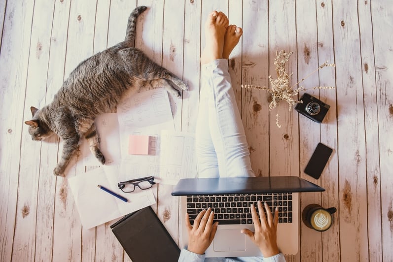 Girl working on laptop with her cat
